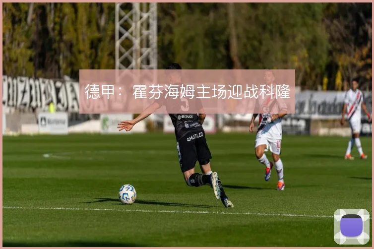 德甲：霍芬海姆主场迎战科隆